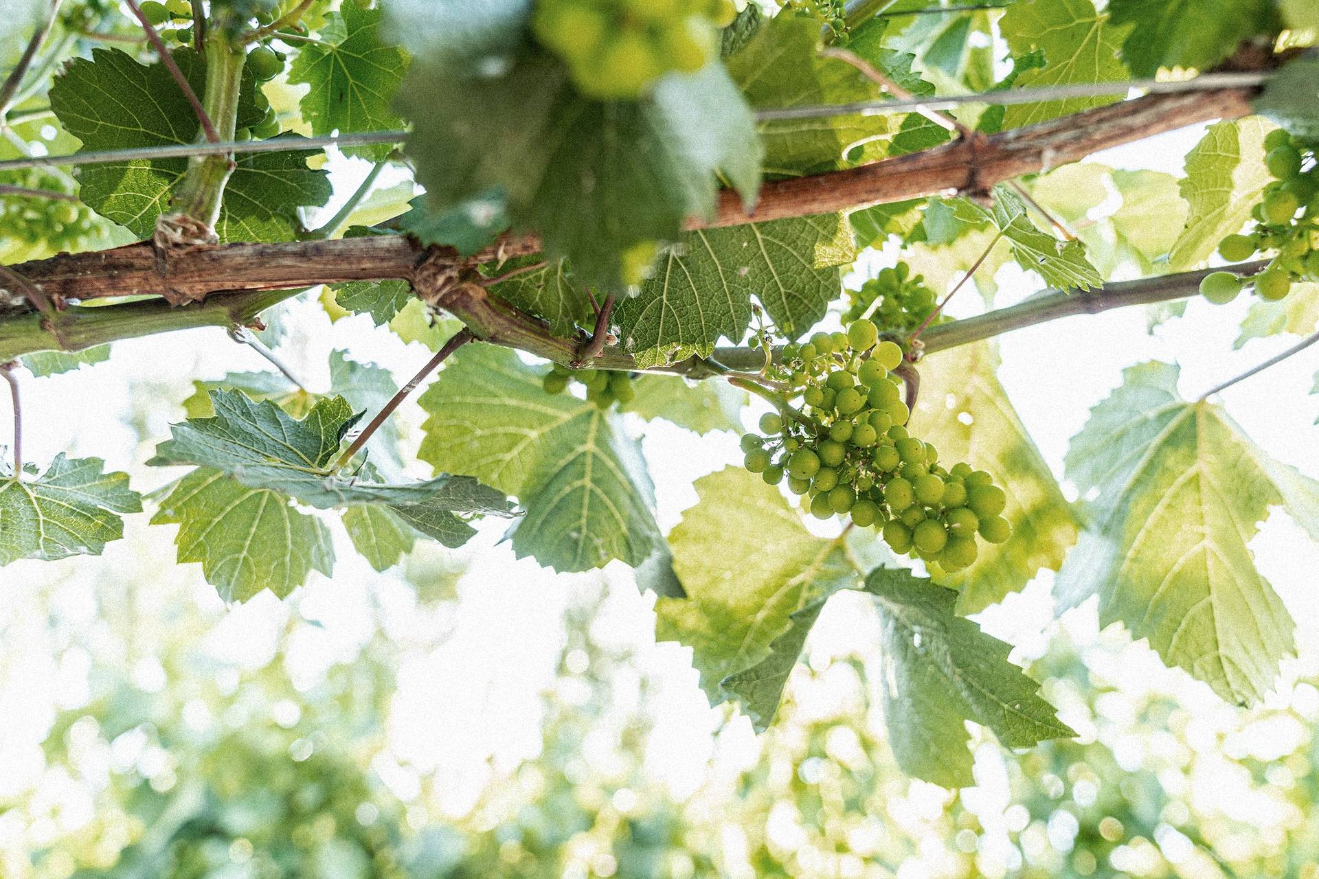 Chile Chico Patagonia Landscape