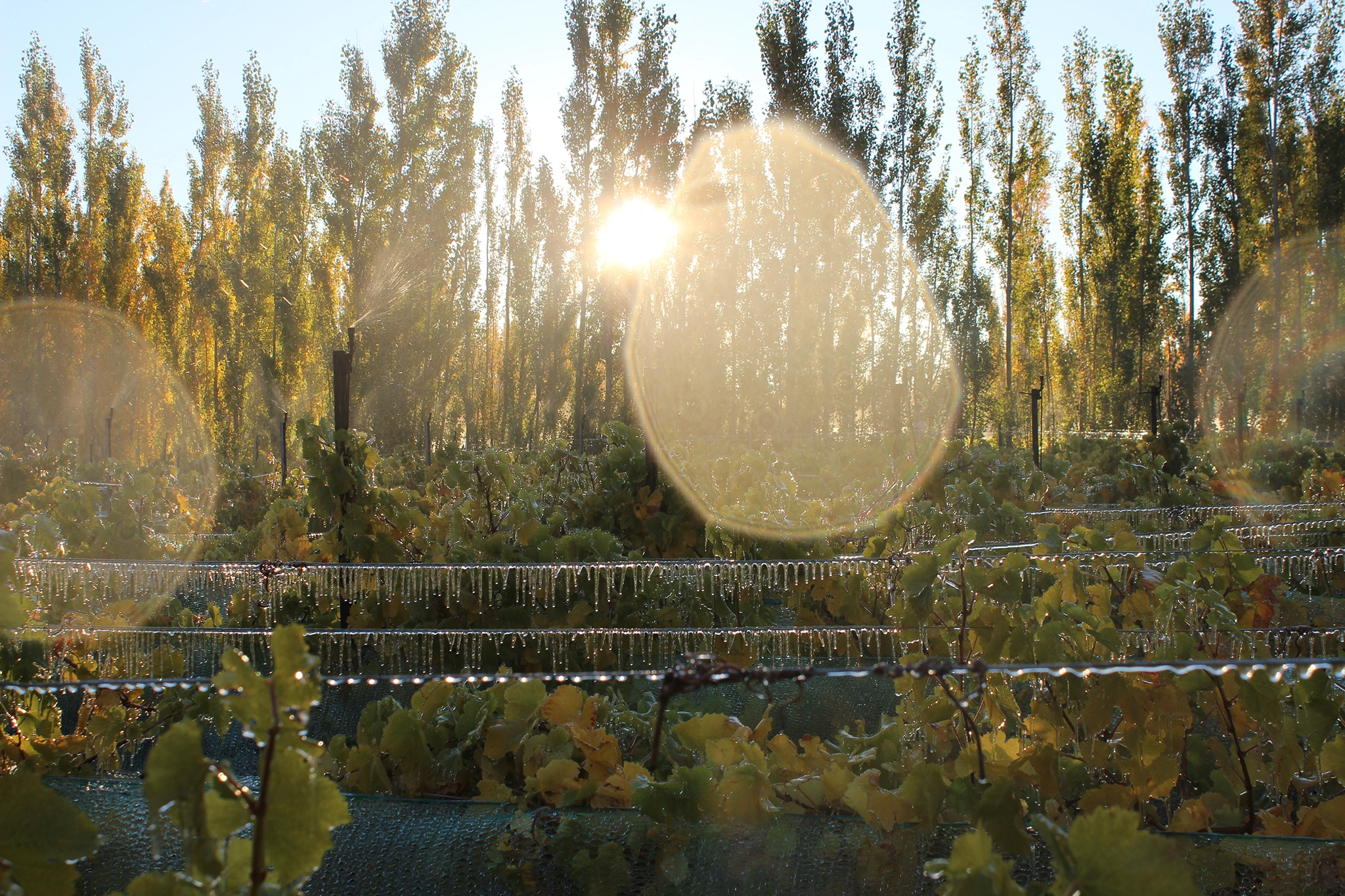 Chile Chico Patagonia Landscape